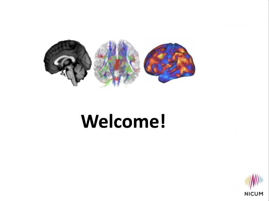 From Scans to Brain MRI Basics and Safety Issues